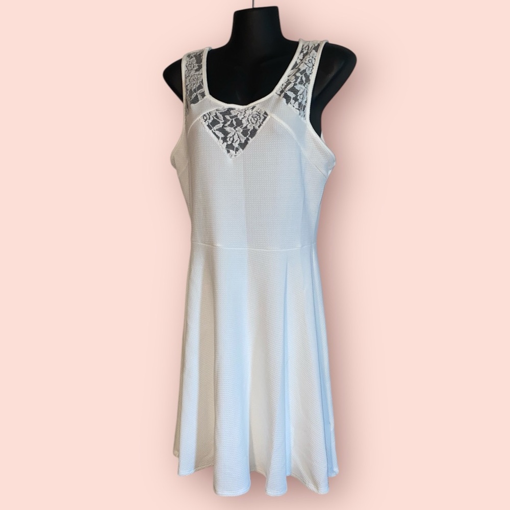 White Lace Fit & Flare Skater Dress